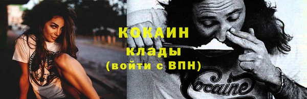 гашик Балахна