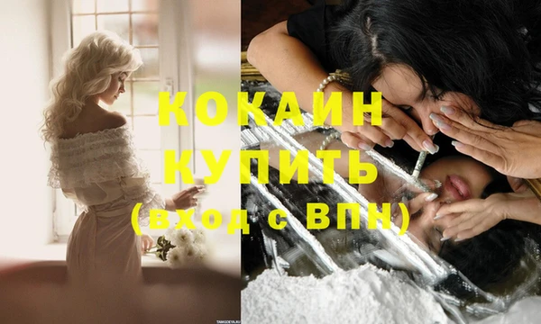 гашик Балахна