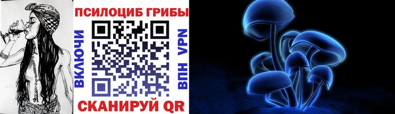 Купить закладки  Нея  Галлюциногенные грибы Magic Shrooms 
