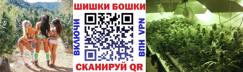 Бошки Шишки SATIVA & INDICA  Купить  Нея 